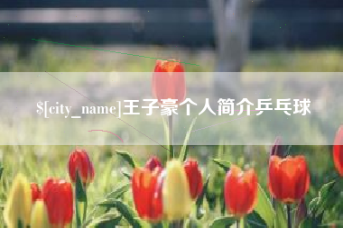 临沂王子豪个人简介乒乓球