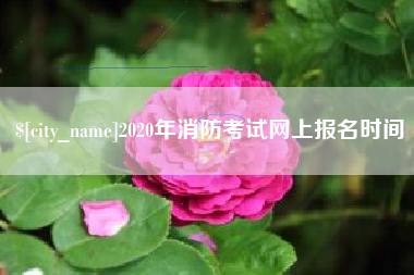 临沂2020年消防考试网上报名时间