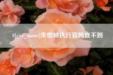 临沂失信被执行官网查不到