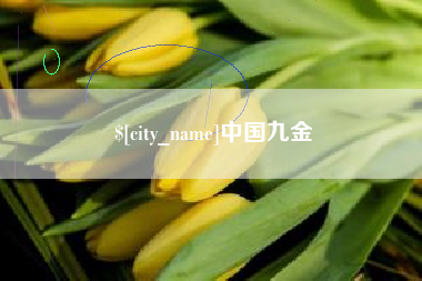 临沂中国九金