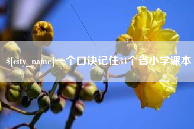 临沂一个口诀记住34个省小学课本