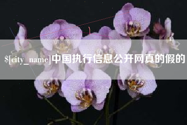临沂中国执行信息公开网真的假的
