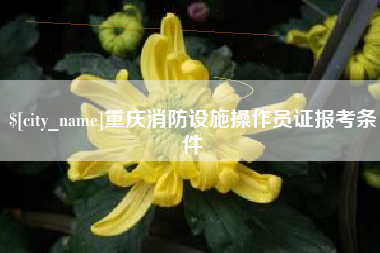 临沂重庆消防设施操作员证报考条件