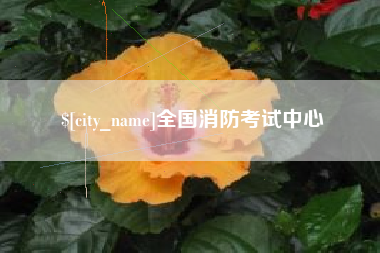 临沂全国消防考试中心