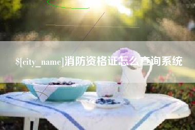 临沂消防资格证怎么查询系统