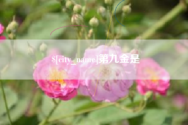 临沂第九金是