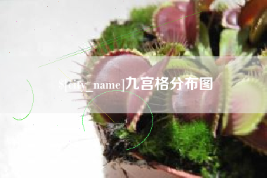 临沂九宫格分布图