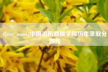 临沂中国消防救援学院历年录取分数线