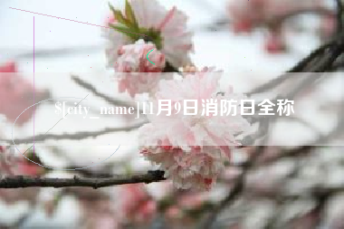 临沂11月9日消防日全称