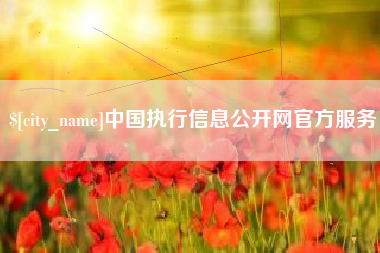 临沂中国执行信息公开网官方服务