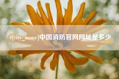 临沂中国消防官网网址是多少