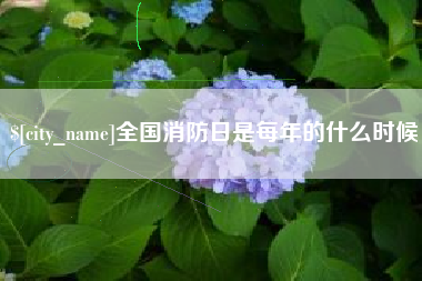 临沂全国消防日是每年的什么时候