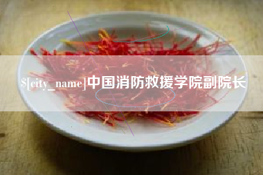 临沂中国消防救援学院副院长
