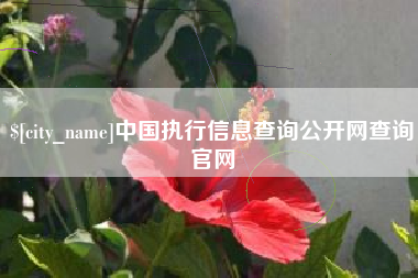 临沂中国执行信息查询公开网查询官网