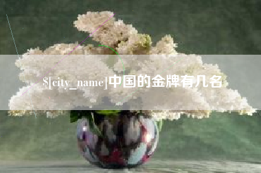 临沂中国的金牌有几名