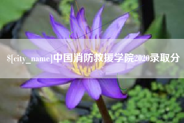 临沂中国消防救援学院2020录取分