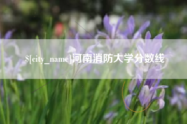 临沂河南消防大学分数线