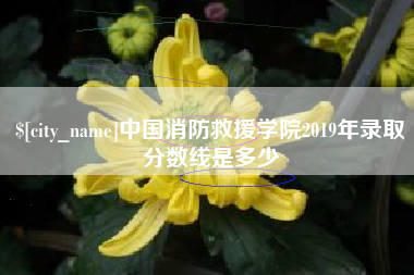临沂中国消防救援学院2019年录取分数线是多少