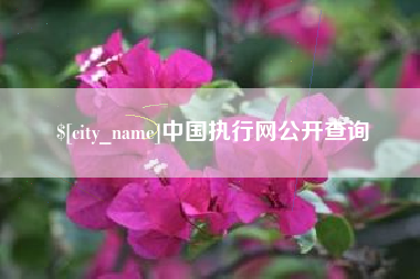 临沂中国执行网公开查询