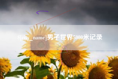 临沂男子世界5000米记录