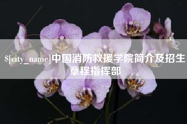 临沂中国消防救援学院简介及招生章程指挥部