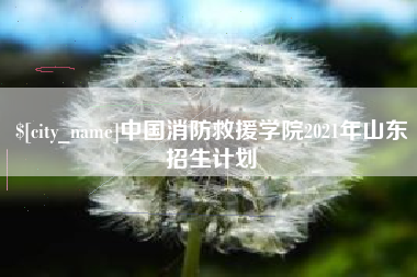 临沂中国消防救援学院2021年山东招生计划