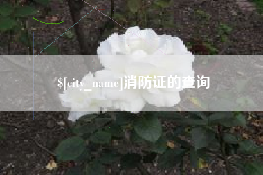临沂消防证的查询