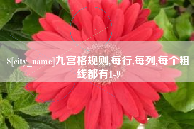 临沂九宫格规则,每行,每列,每个粗线都有1-9