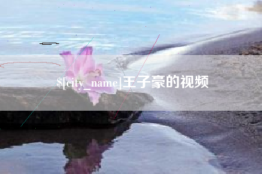 临沂王子豪的视频
