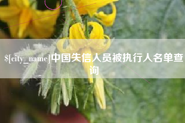 临沂中国失信人员被执行人名单查询
