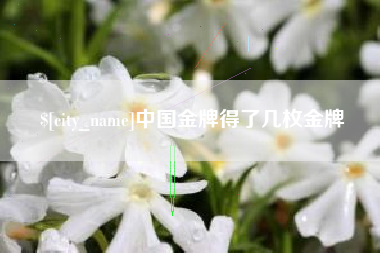 临沂中国金牌得了几枚金牌