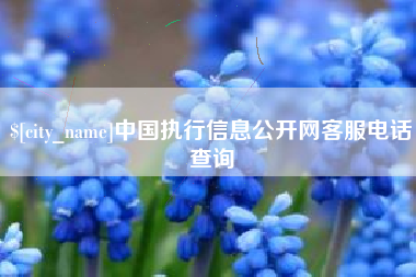 临沂中国执行信息公开网客服电话查询