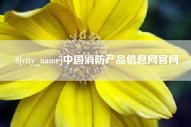 临沂中国消防产品信息网官网