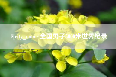 临沂全国男子5000米世界纪录