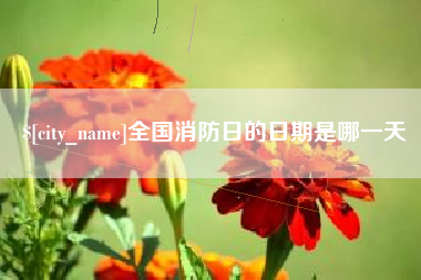 临沂全国消防日的日期是哪一天