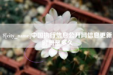 临沂中国执行信息公开网信息更新时间是多久