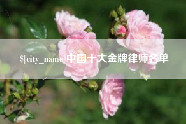 临沂中国十大金牌律师名单
