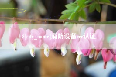 临沂消防设备ccc认证