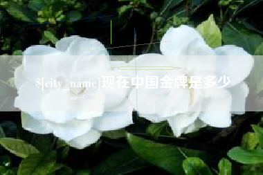 临沂现在中国金牌是多少