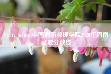 临沂中国消防救援学院2020年河南录取分数线