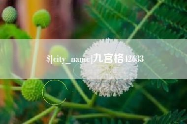 临沂九宫格42633