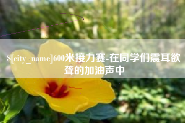 临沂600米接力赛-在同学们震耳欲聋的加油声中