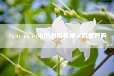 临沂中国消防救援学院管严吗