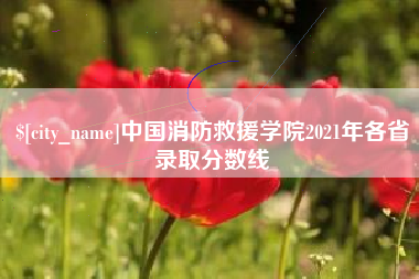 临沂中国消防救援学院2021年各省录取分数线