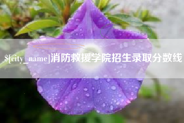 临沂消防救援学院招生录取分数线