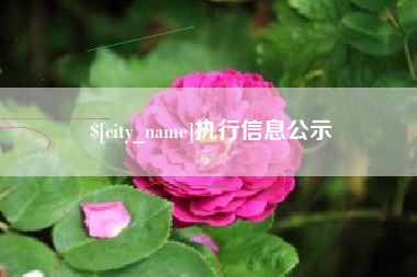 临沂执行信息公示