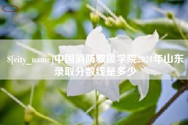 临沂中国消防救援学院2021年山东录取分数线是多少