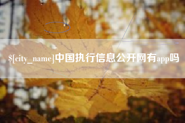 临沂中国执行信息公开网有app吗