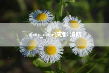 临沂成都 消防