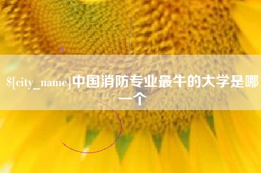 临沂中国消防专业最牛的大学是哪一个